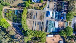 Long Established Wholesale Nursery