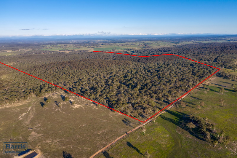 The Bush Block – Windellama Road Goulburn – SOLD